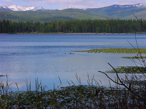 Big Larch Campground Montana: Your Guide to Camping in Glacier National Park