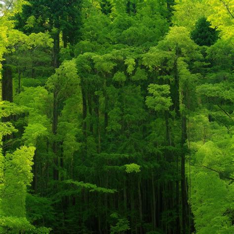 squint your eyes Blank Template - Imgflip