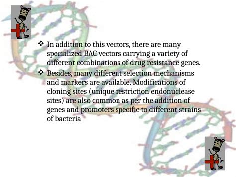 bacterial_artificial_chromosome_yup.pptx