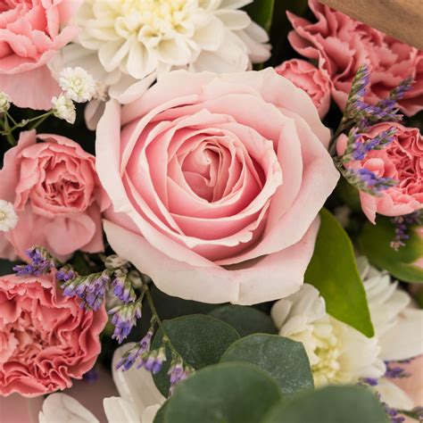 Brand New Day – The Flora