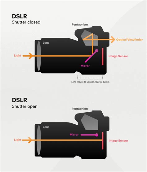 Mirrorless Vs Dslr Cameras Whats The Difference