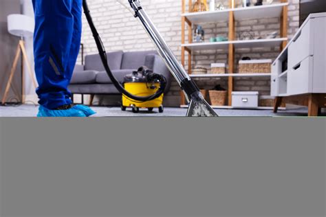 Top 10 Best Carpet cleaners in Los Angeles, CA | Angi