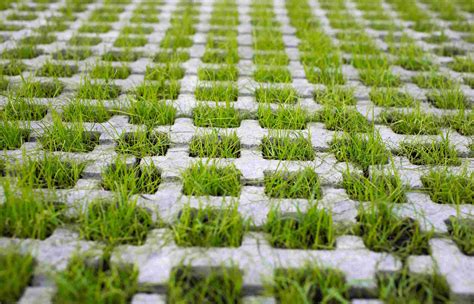 Permeable Paving – Eco-Friendly Water-Permeable Surfaces