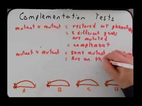 Image result for Complemention Testing