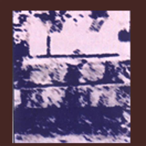 Shri Sankarashana Teertharu, Shri Sripadaraja Math