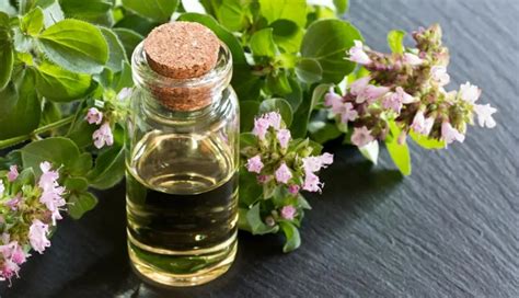 How To Get Rid Of Tinea Versicolor – 10 Home Remedies To Try ...