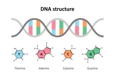 Image result for DNA Microarray Data