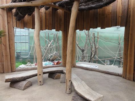 ZooLex Image - Platform