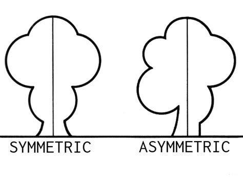 Asymmetric Information - Meaning, Types, and FAQs