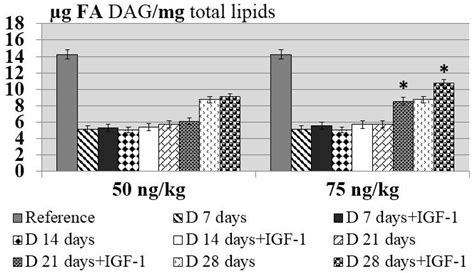 The Effect of Insulin-like Growth Factor-1 on the Quantitative and ...