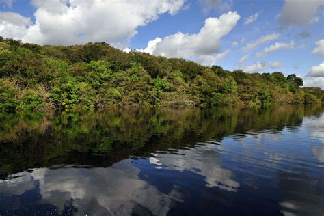 Jungles in the world | Rainforests in the world | Forests in the world ...