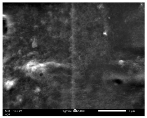 Multiwalled Carbon Nanotubes Polylactide Composites for Electrical ...