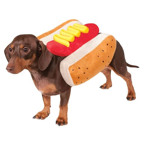 Hot Diggity Dog Costume by Rubies | BaxterBoo