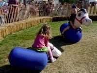 Image result for Inflatable Ponies