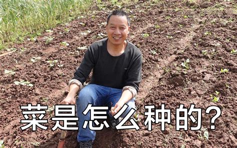 清明节快到了，农村田梗上长满了这种野菜，小伙摘了满满一篮子_腾讯视频