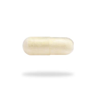 Daily Probiotic | Persona Nutrition