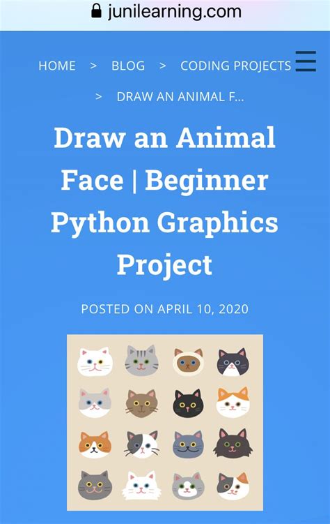 Image result for Python Turtle Graphics Online Compiler