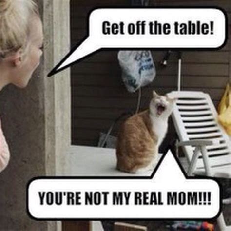 Image result for You Getting Off