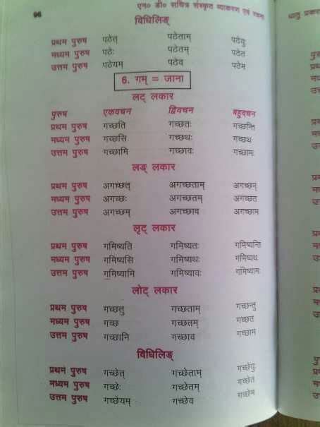 sanskrit ke sabhi dhatu roop - Brainly.in