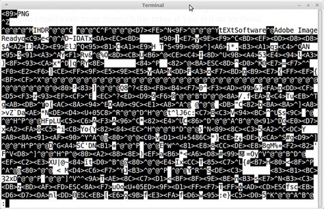 Image result for Binary Files in Python