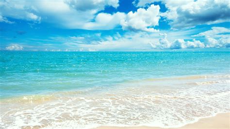 Bing Summer Beach Wallpaper 的图像结果