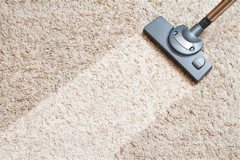 What Is The Average Cost of Carpet Cleaning in Sterling, VA? - Next Day ...