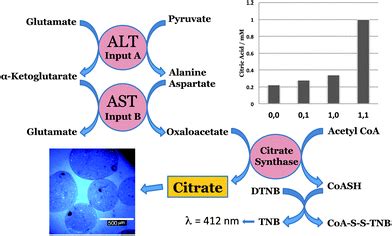 AST vs Alt 的图像结果