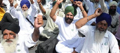 A destructive insect and a corruption scandal have driven Punjab's ...