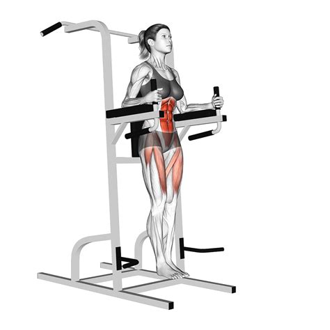 Captain’s Chair Leg Raise: Benefits, Muscles Worked, and More - Inspire US