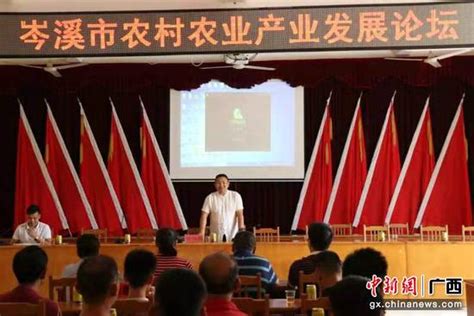 广西高效农业电商扶贫百香果产业文化交流在岑溪举办--中新网广西新闻