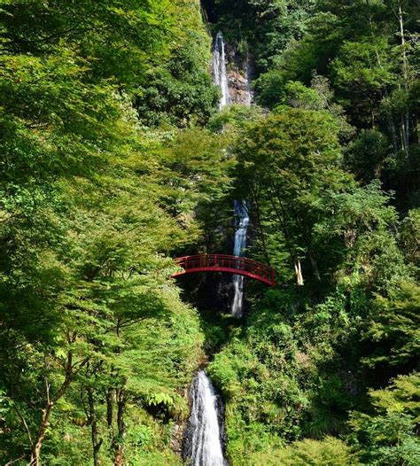 GOHO FALL (2026) All You Need to Know BEFORE You Go (with Photos ...