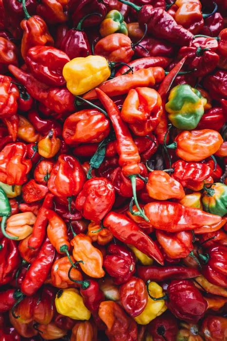 How To Tell When Habanero Peppers Are Ripe