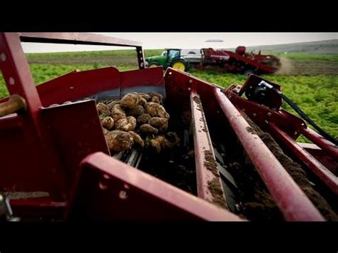 J.R.simplot Potatoes 的图像结果