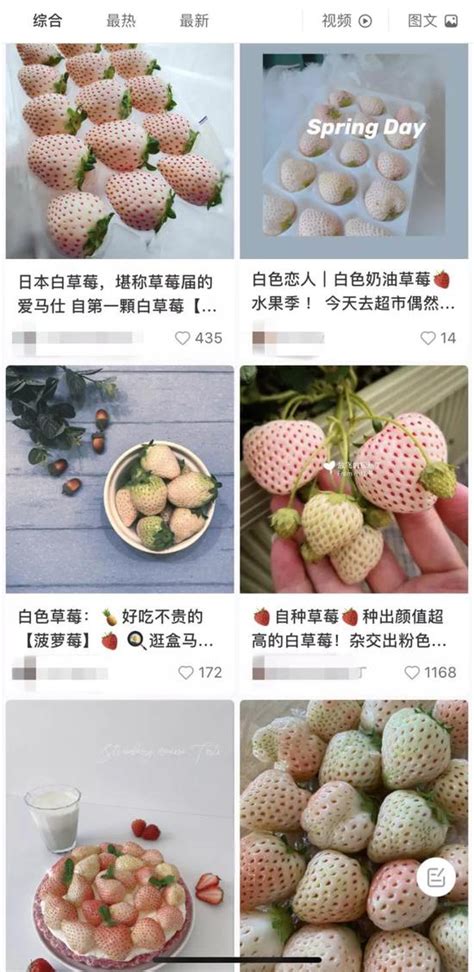 传说中60元一颗的白草莓 现在卖38元/斤_新浪浙江_新浪网