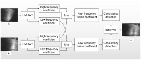 Image result for Processing Image as Background