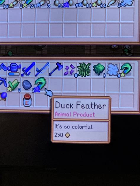 Switch - A silly thing, but…Iridium and gold quality duck feather price ...