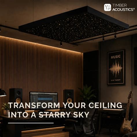 Starlit Acoustic Panel | Fiber Optic Starry Sound Absorbing Wall & Cei ...