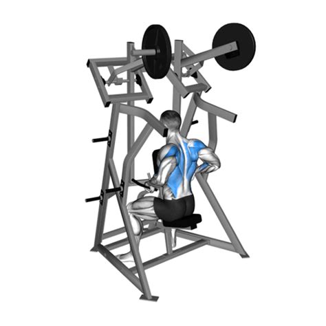 Image result for Low Row Back Machine