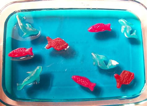 How To Get Food Out Of Fish Tank at Kai Deacon blog