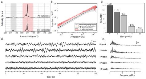 Magnetically Compatible Brain Electrode Arrays Based on Single-Walled ...