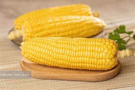 玉米 | 食材拍摄 | 美食摄影_摄影师Wikim-站酷ZCOOL