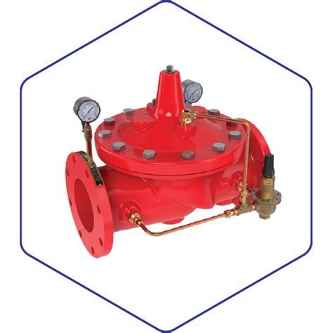 Image result for Pressure Regulating Valve Fire Protection