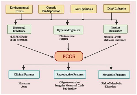 Polycystic Ovary Syndrome Ovarian Cyst Disease Surgical Tools Disease