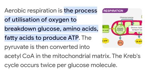 Q.What is aerobic respiration?? - Brainly.in