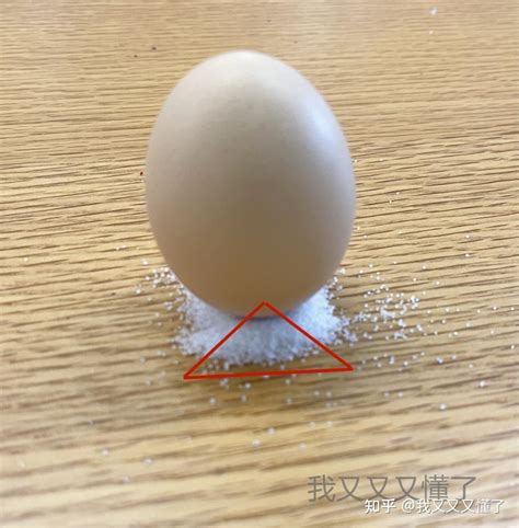 有关浮力的趣味小实验 鸡蛋沉浮的科学原理💛巧艺网