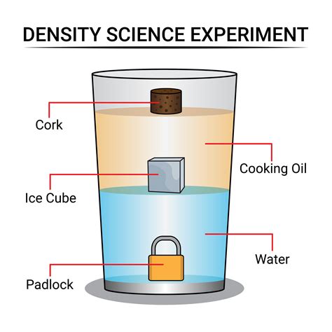Density Experiment with Water and Oil 44253719 Vector Art at Vecteezy