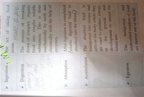 What does inter acellular digestion mean ? Justify the meaning by ...