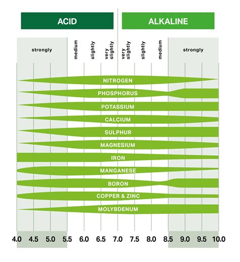 Plant nutrients and soil