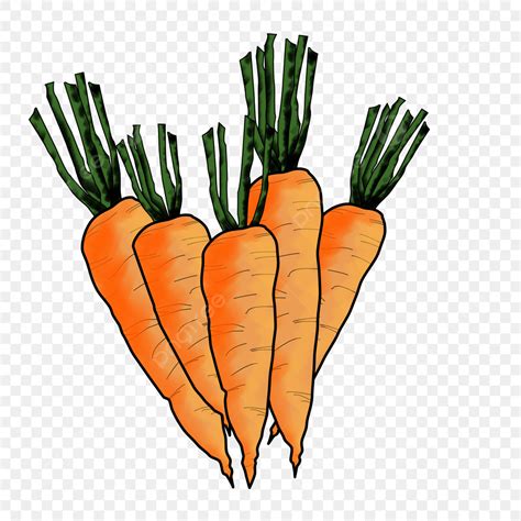 Pictures Of Carrots Clipart