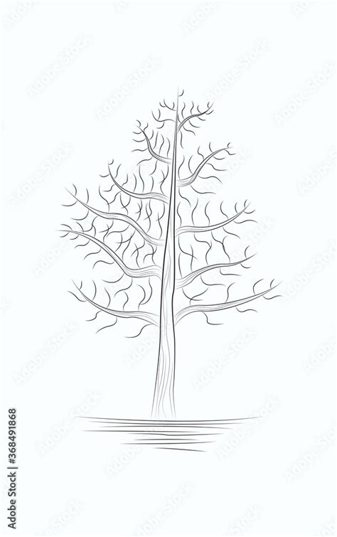 Tree Line Art Black and White Sketches Drawing Stock Vector | Adobe Stock